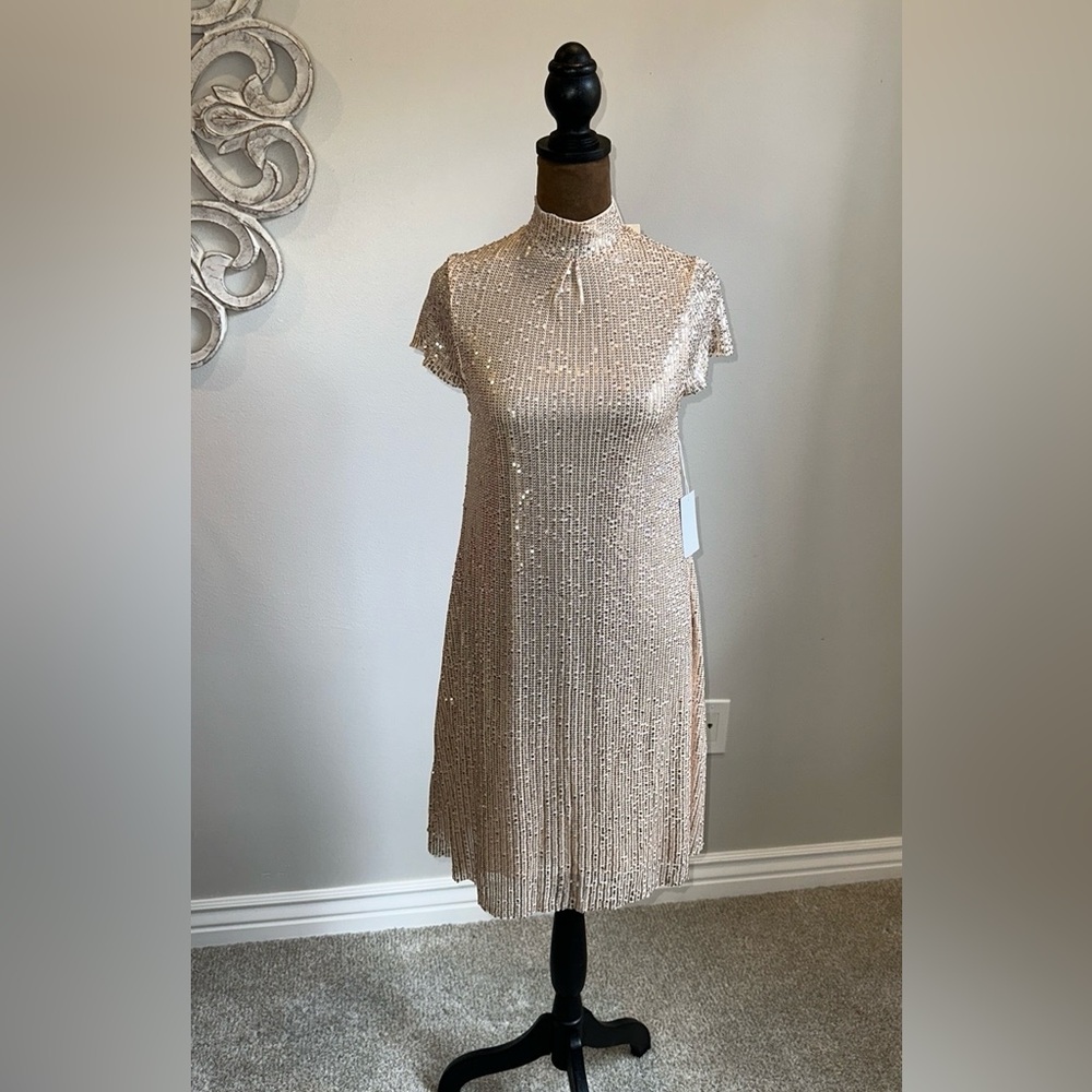 JOYFOLIE Mia Joy Michelle Dress In Champagne - Picture 7 of 16